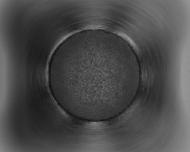 X0000092220894200709211005