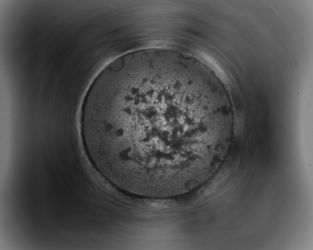 X0000092220899200709211005