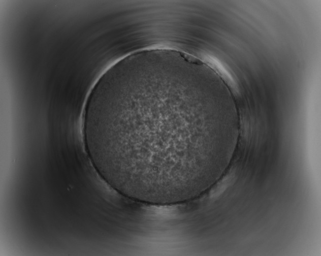 X0000092220900200709211005