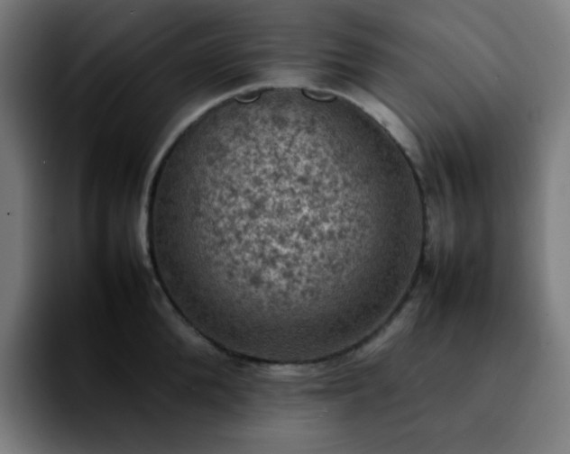 X0000092220904200709211005