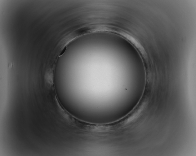 X0000092220905200709211005