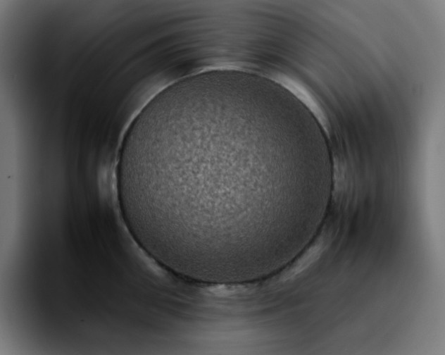 X0000092220906200709211005