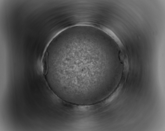 X0000092220908200709211005