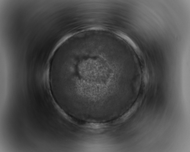 X0000092220910200709211005