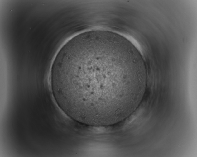 X0000092220911200709211005