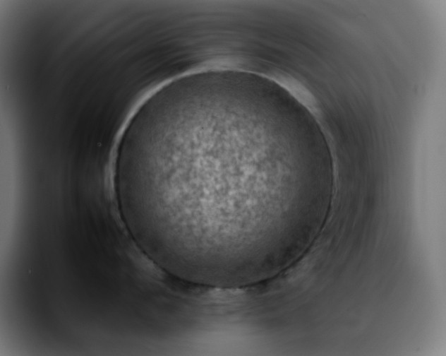 X0000092220912200709211005