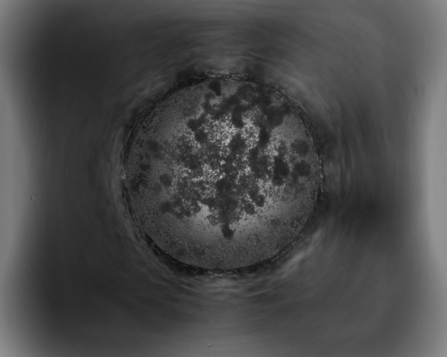 X0000092220913200709211005