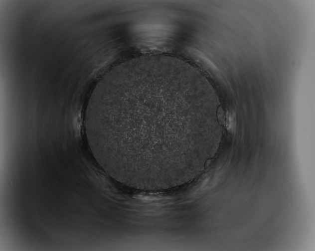 X0000092220915200709211005