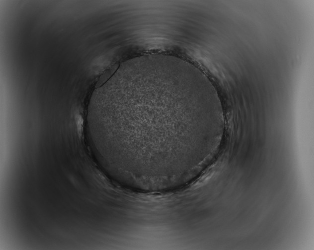 X0000092220916200709211005