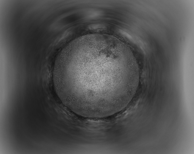 X0000092220917200709211005