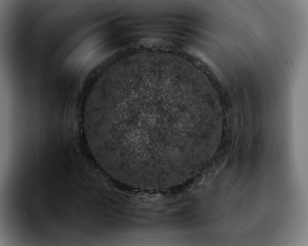 X0000092220919200709211005