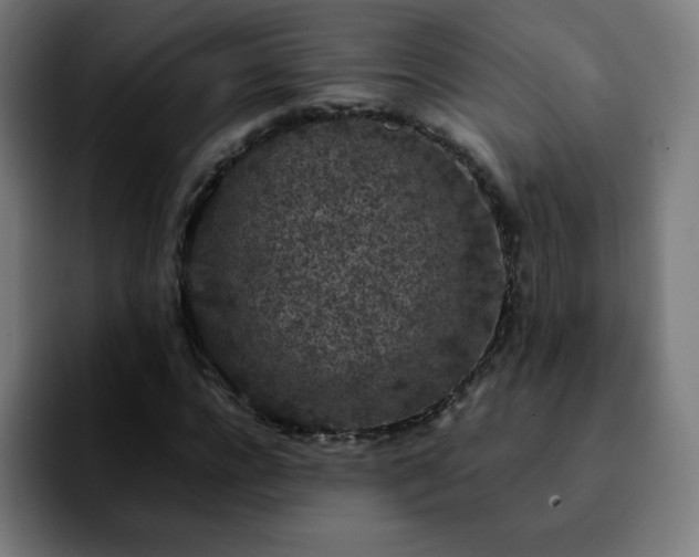 X0000092220920200709211005