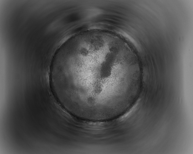 X0000092220921200709211005