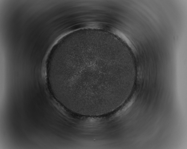 X0000092220923200709211005