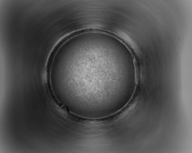 X0000092220924200709211005