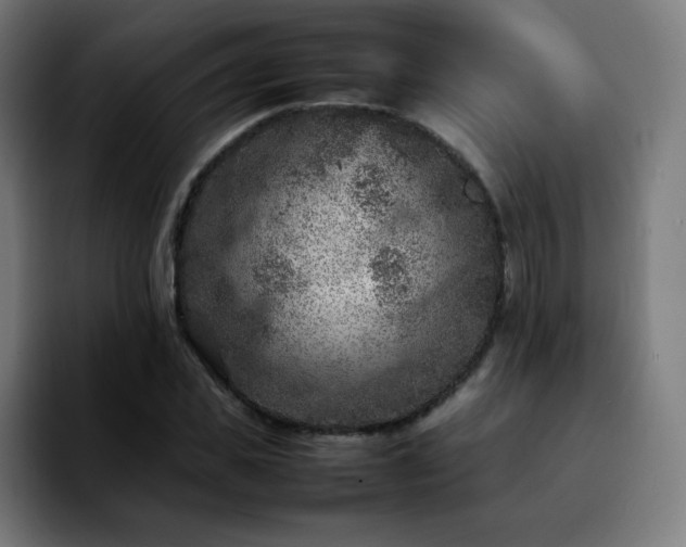 X0000092220925200709211005