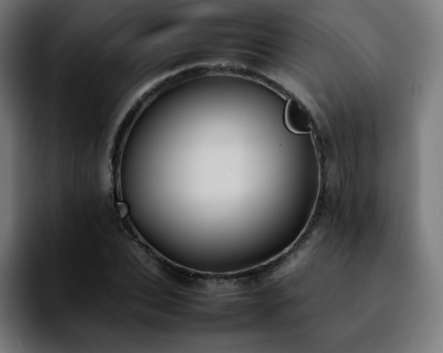 X0000092220927200709211005