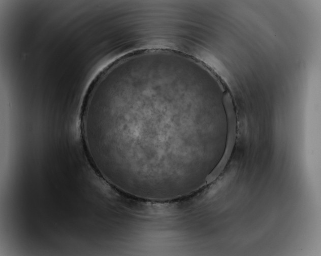 X0000092220928200709211005