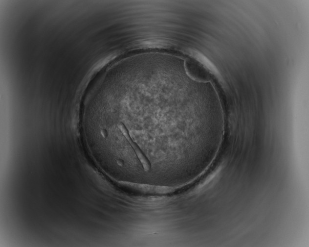 X0000092220930200709211005
