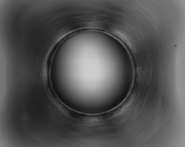 X0000092220931200709211005