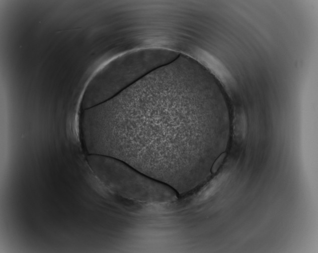 X0000092220932200709211005