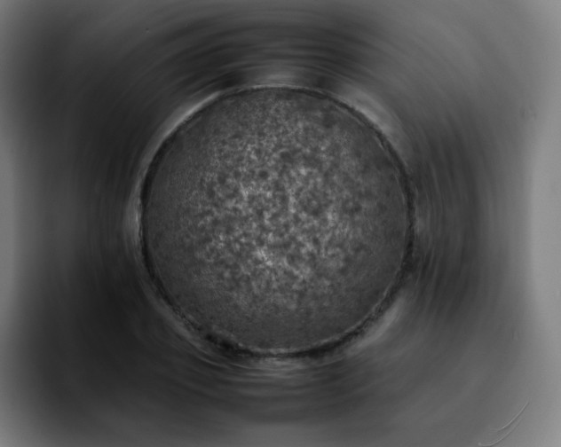 X0000092220933200709211005