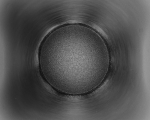 X0000092220934200709211005