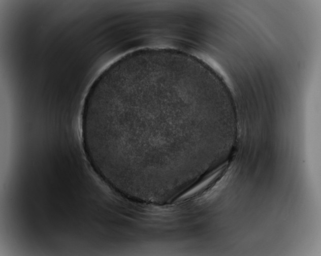 X0000092220935200709211005