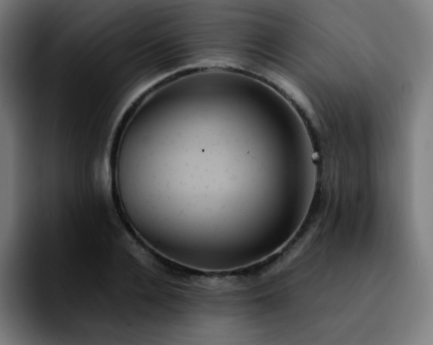 X0000092220936200709211005