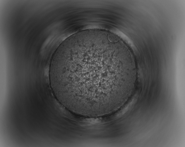 X0000092220937200709211005