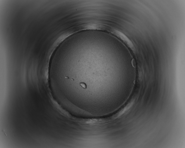 X0000092220938200709211005