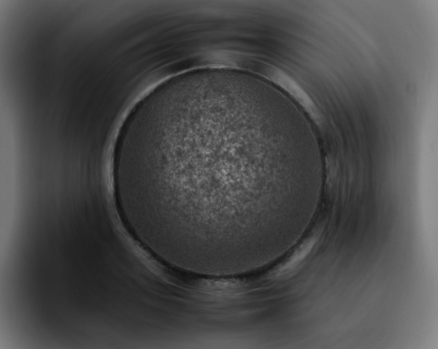 X0000092220939200709211005