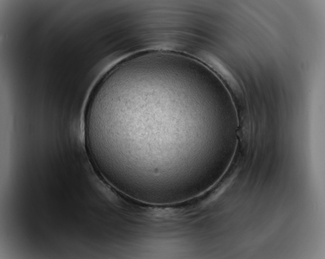 X0000092220940200709211005