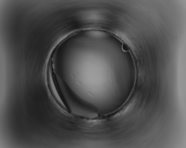 X0000092220941200709211005