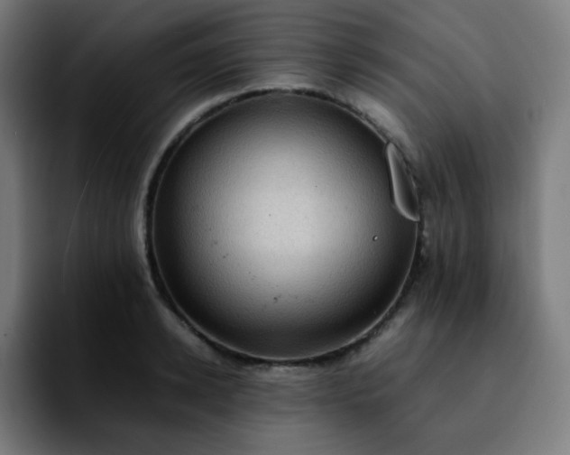 X0000092220942200709211005