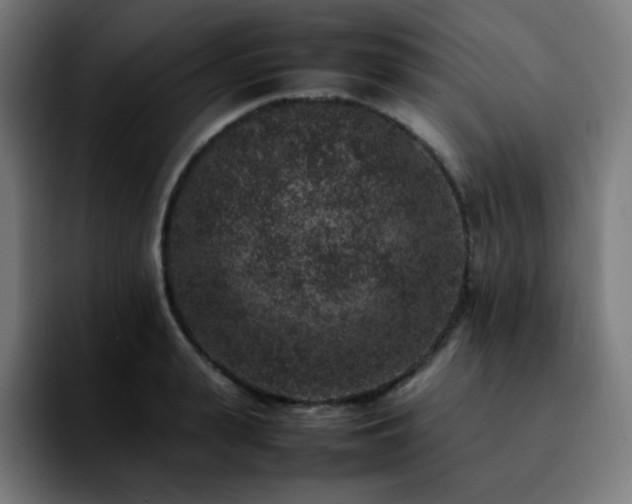 X0000092220943200709211005
