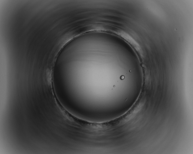 X0000092220945200709211005
