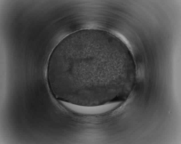 X0000092220946200709211005
