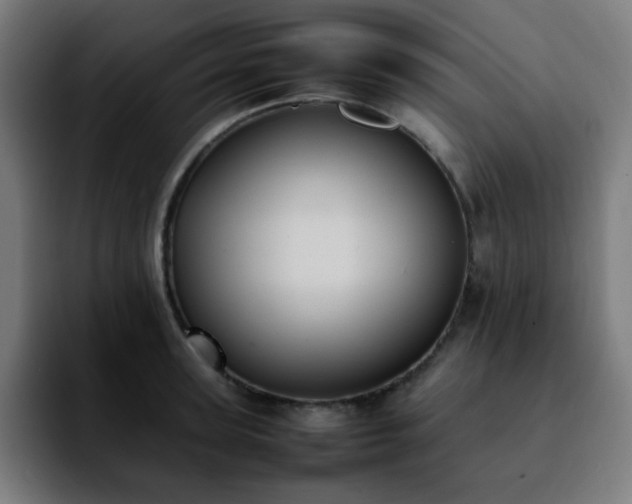 X0000092220947200709211005
