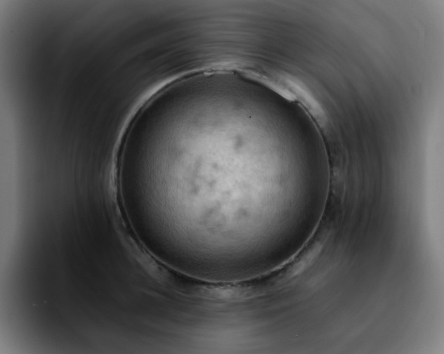 X0000092220948200709211005