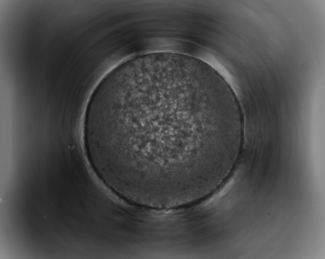 X0000092220949200709211005