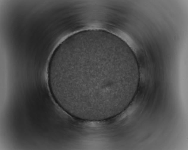 X0000092220950200709211005