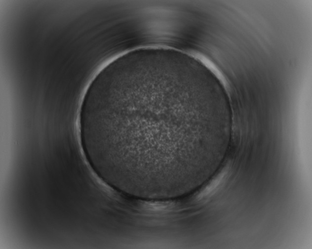 X0000092220951200709211005