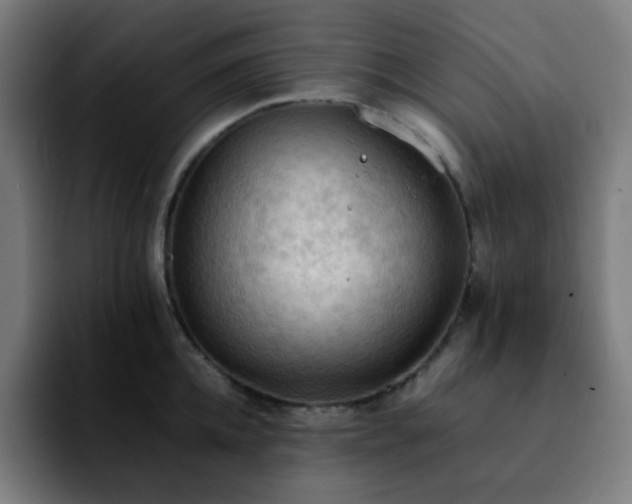 X0000092220952200709211005