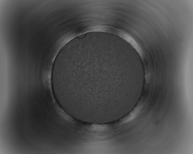 X0000092220954200709211005
