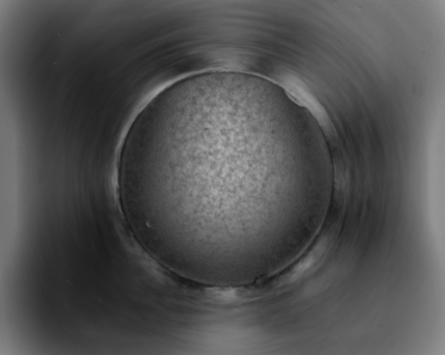 X0000092220956200709211005