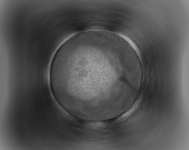 X0000092220957200709211005