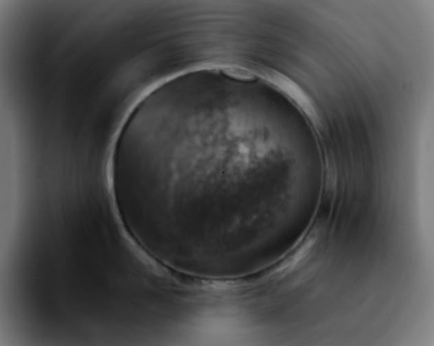 X0000092220958200709211005