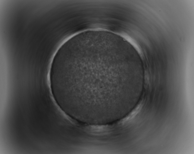 X0000092220959200709211005