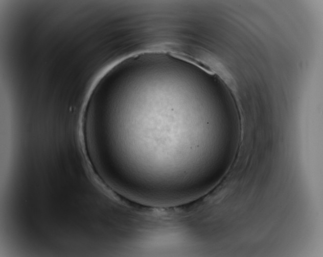 X0000092220960200709211005
